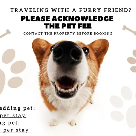 Wonderful At Jardim Do Tabaco 50904 Al Apartman Lisboa